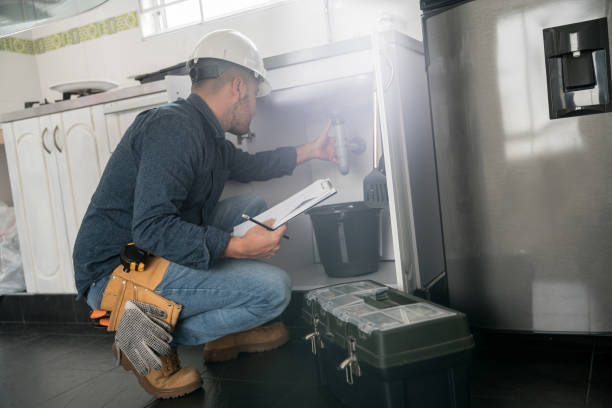 Best Plumbing Inspection Services  in Sullivan City, TX