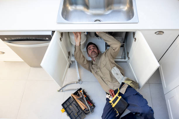 Best Plumbing Services Near Me  in Sullivan City, TX