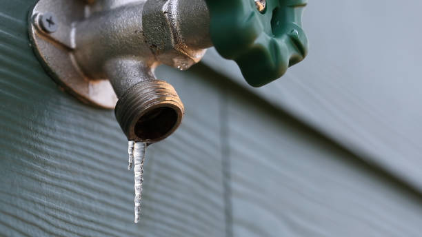 Best Local Plumber Services  in Sullivan City, TX